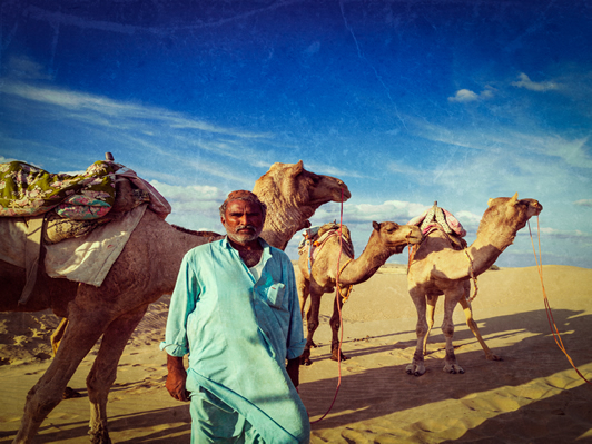 Feria de Pushkar, Rajasthan